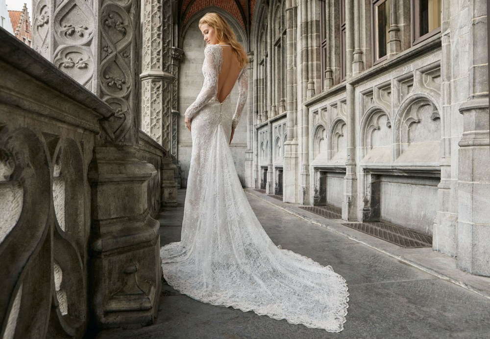 1b25b8_a3e95e2040fb4fb3a073469d17513593